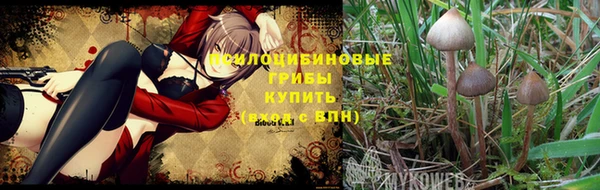 ПСИЛОЦИБИНОВЫЕ ГРИБЫ Балахна